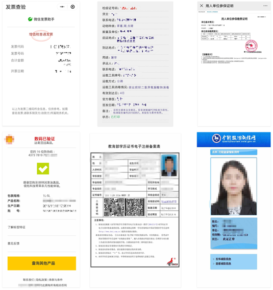 伪造官方证书类违规处罚示意